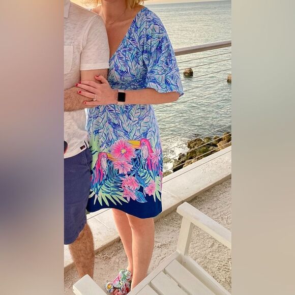 Lilly Pulitzer Parigi dress Let’s Mango GUC Size Small 🍍 - Picture 4 of 7